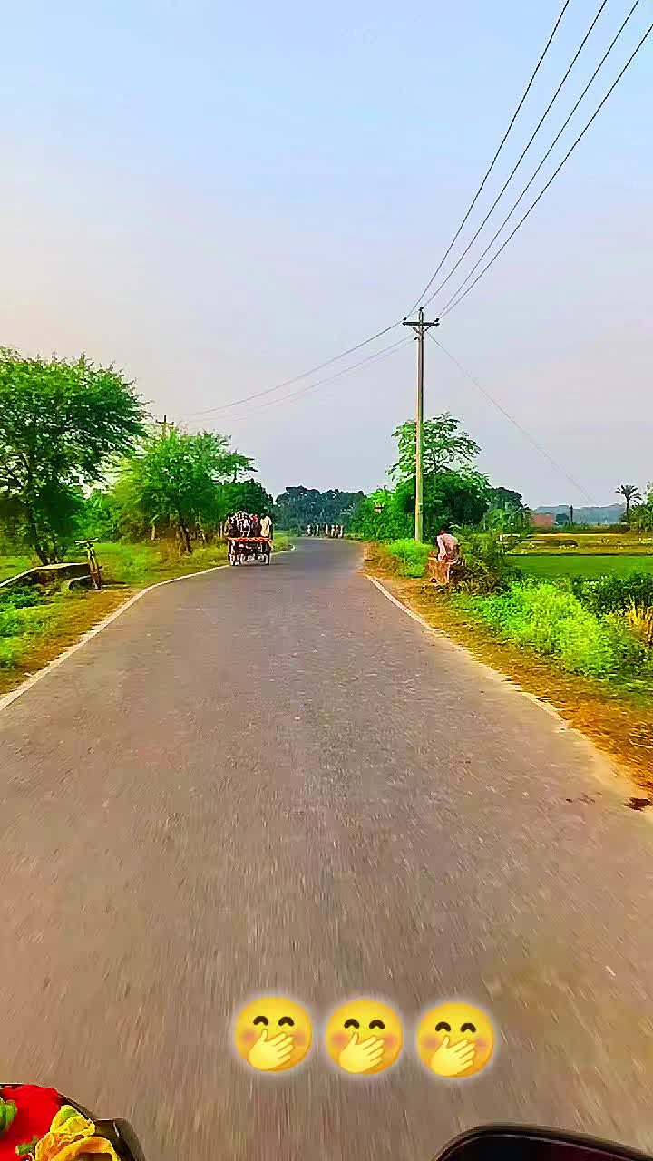 @L᷈o᷈c᷈a᷈l᷈ সেলিব্রিটি ᴮᵘˡᵇᵘˡ🐸