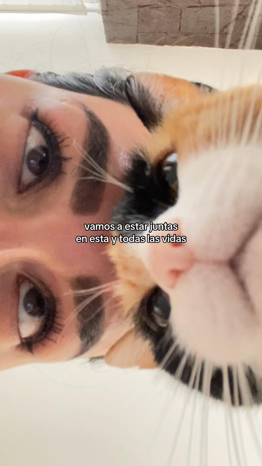@Katery