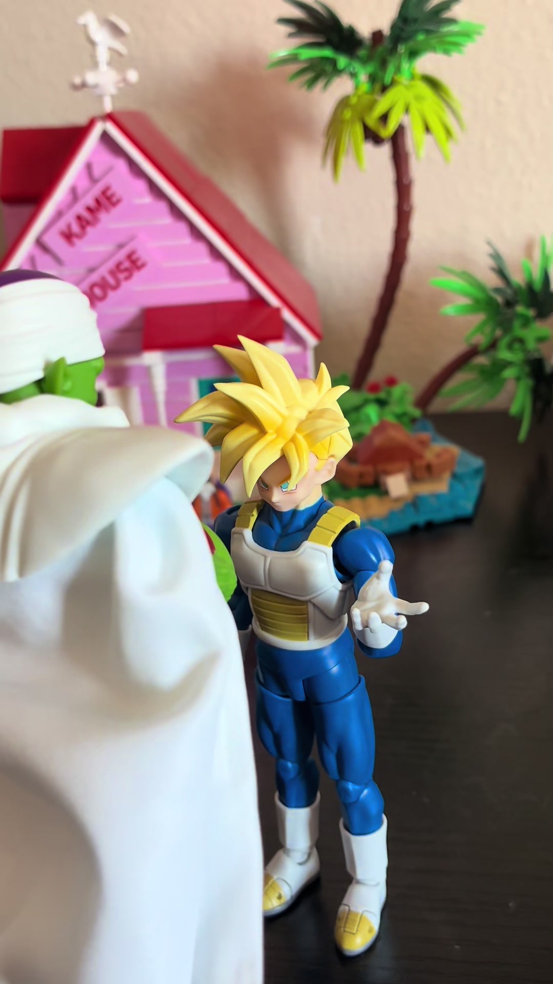 @Kame Sennin