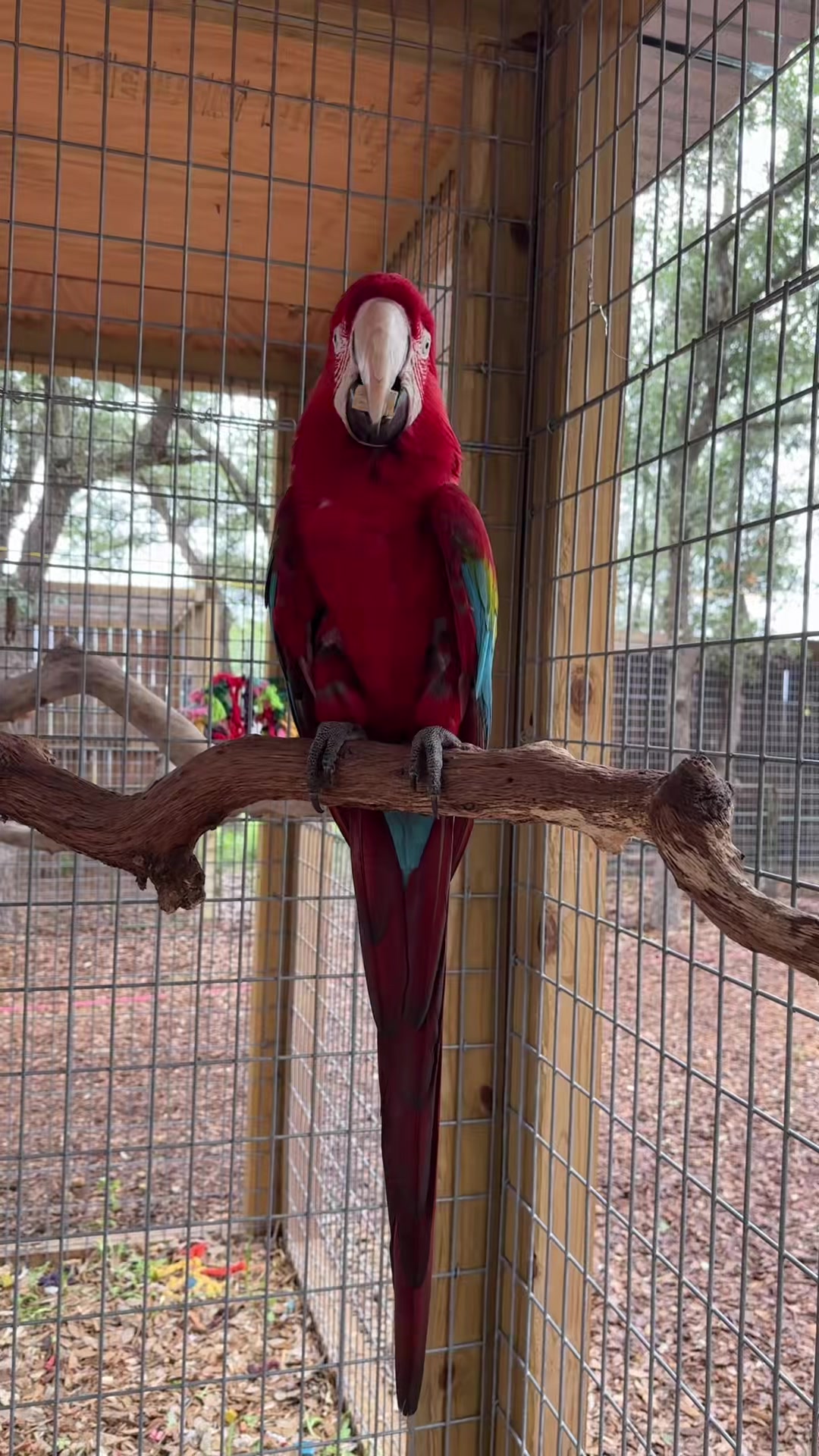 @Texas Wildlife Park