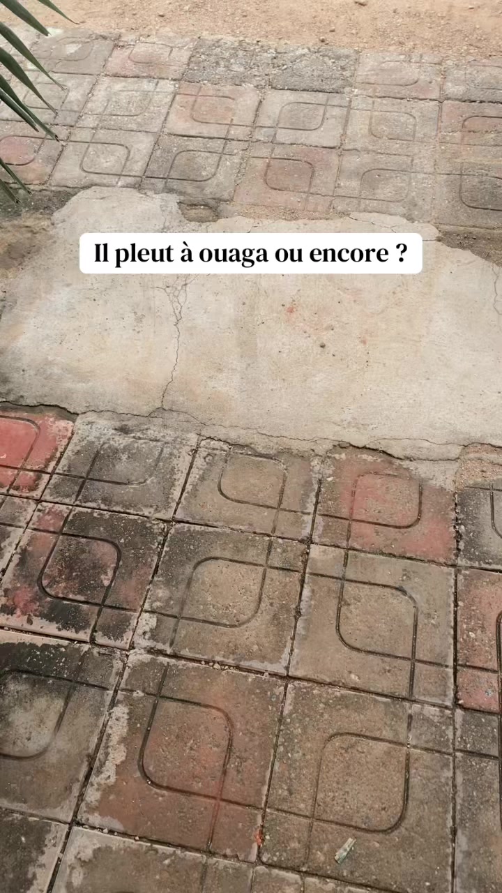 @Stéphane 🇧🇫