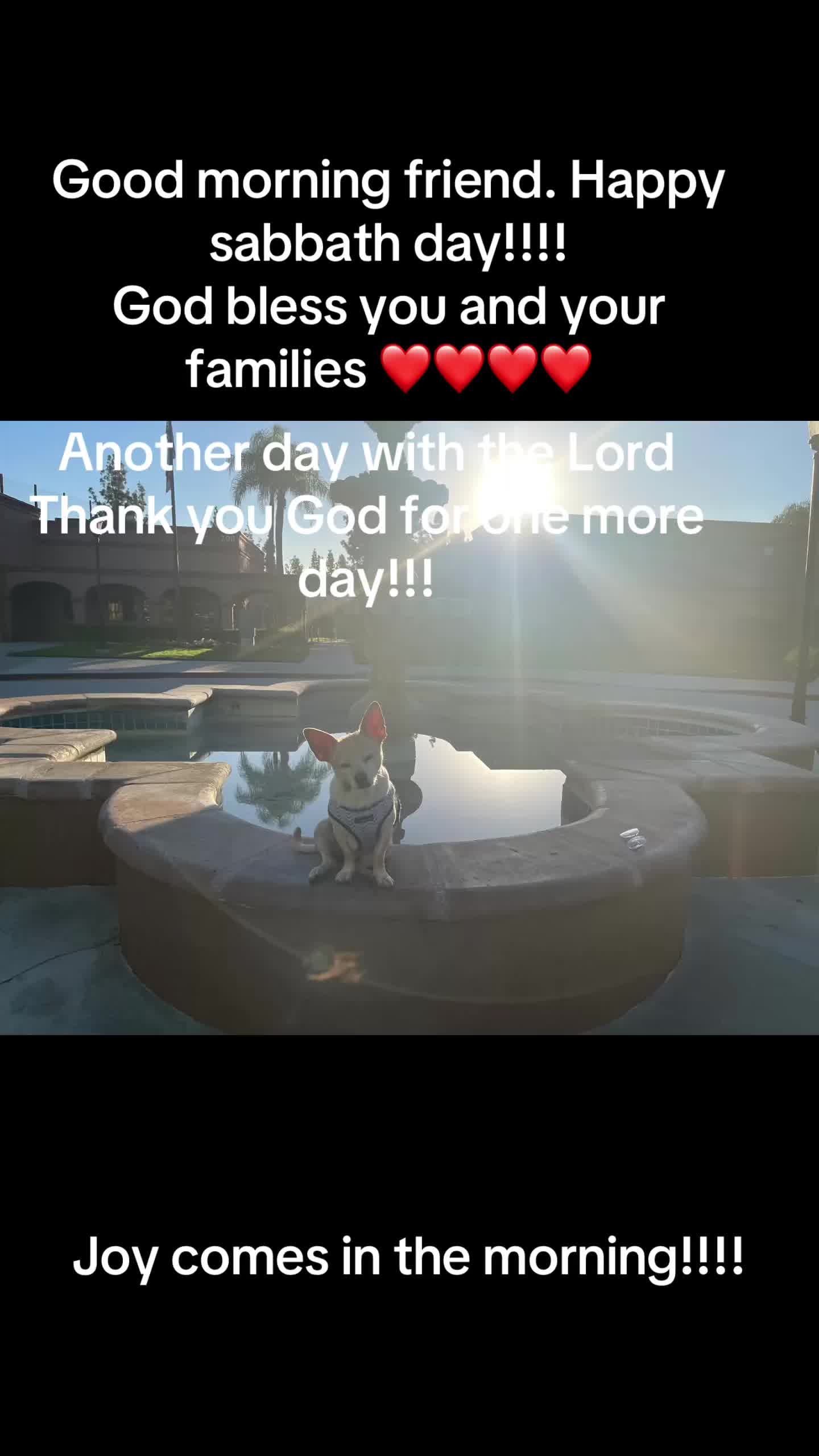 @Happy@Mama