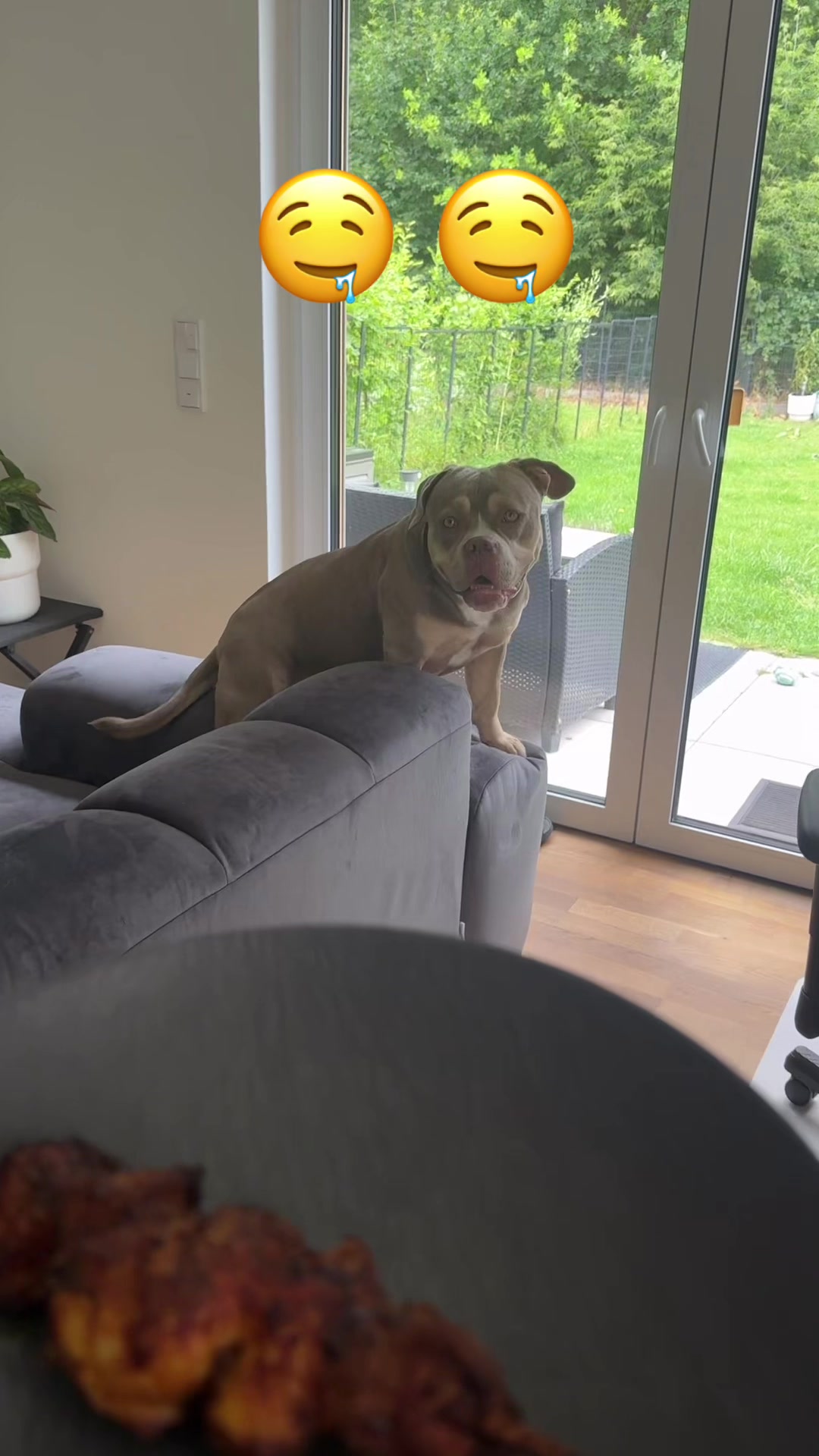 @Milly 🐶🥰