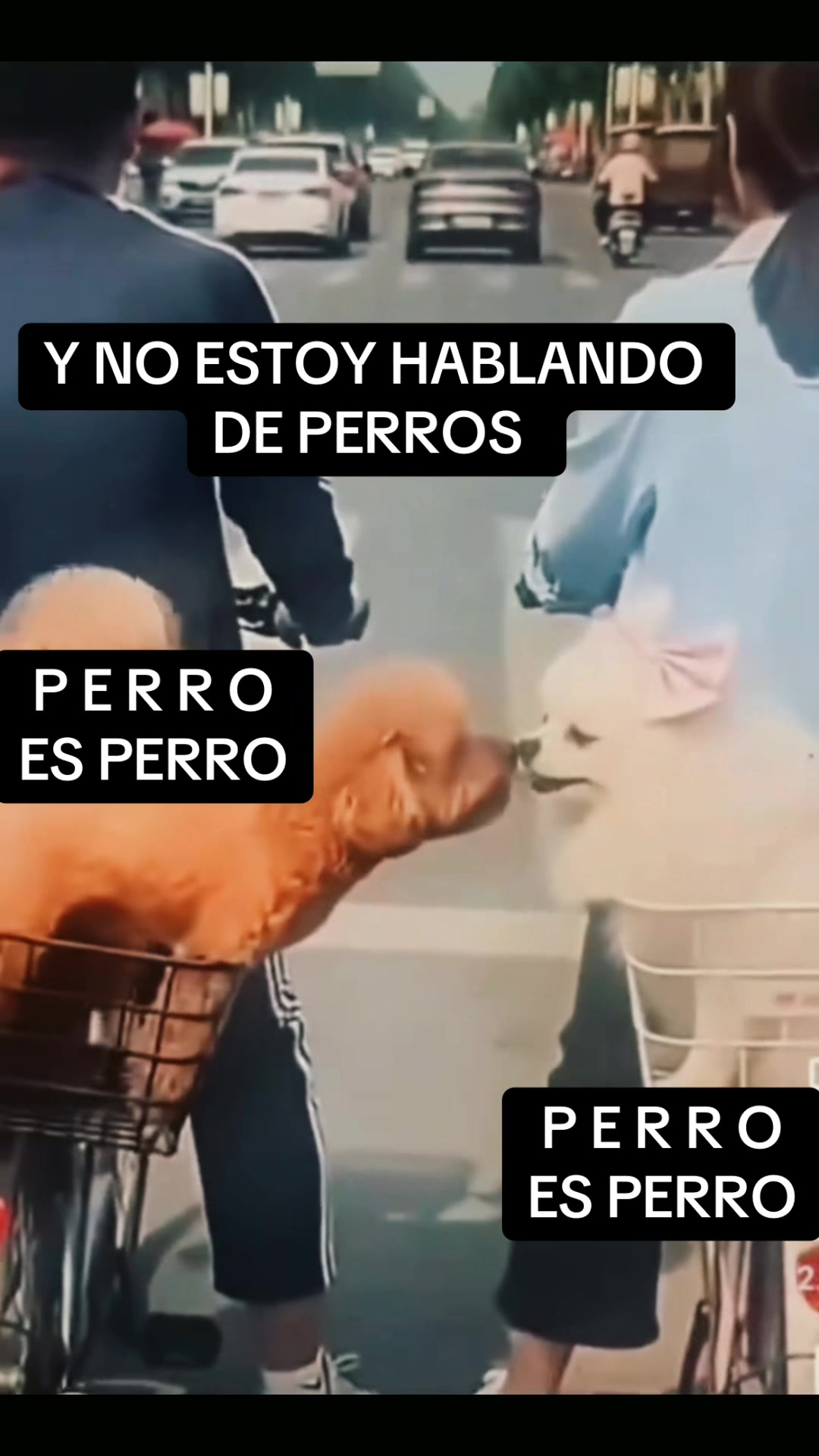 @Xenia