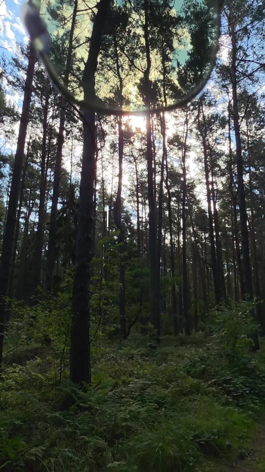 @-ꌗ꓄ꍟꃴꍟꈤ-