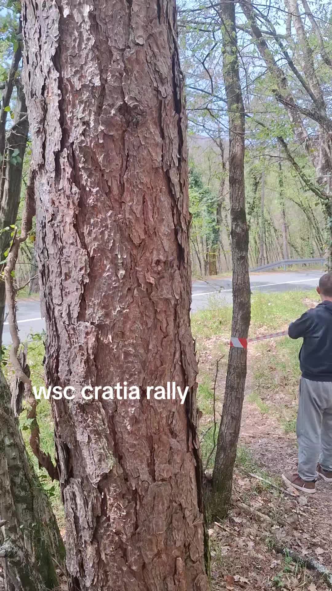 @Valmm