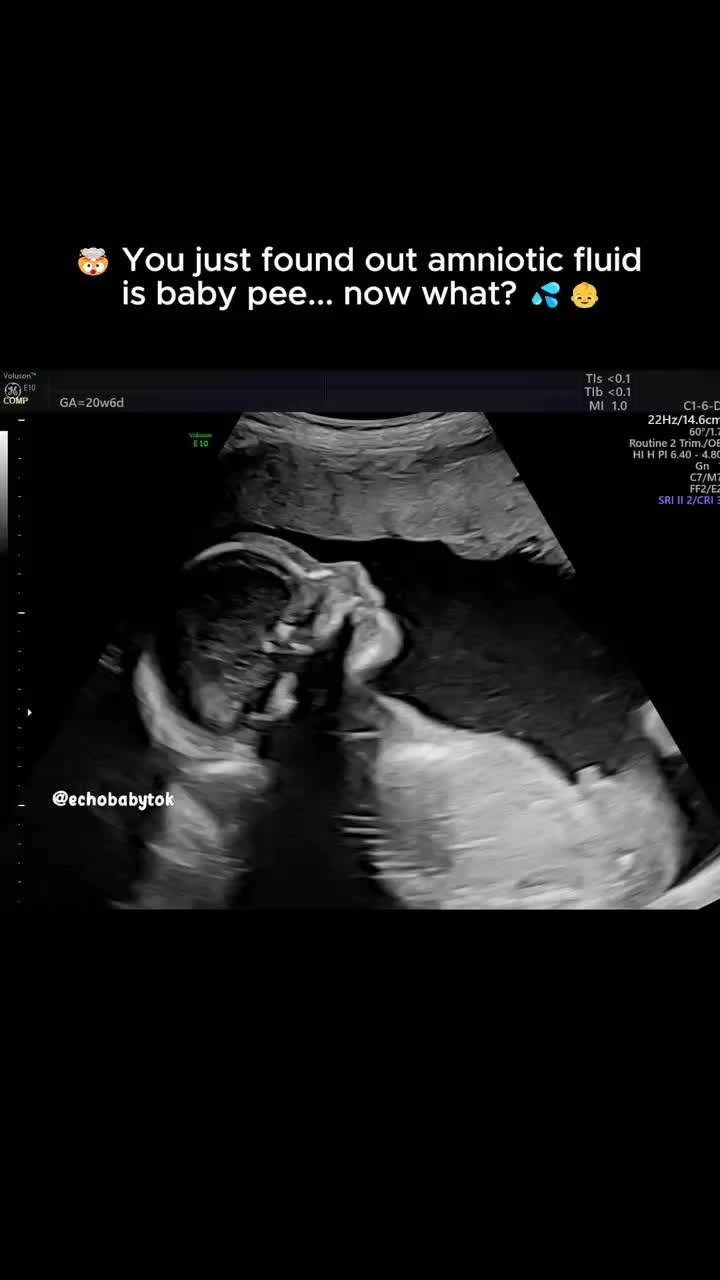 @Echobaby
