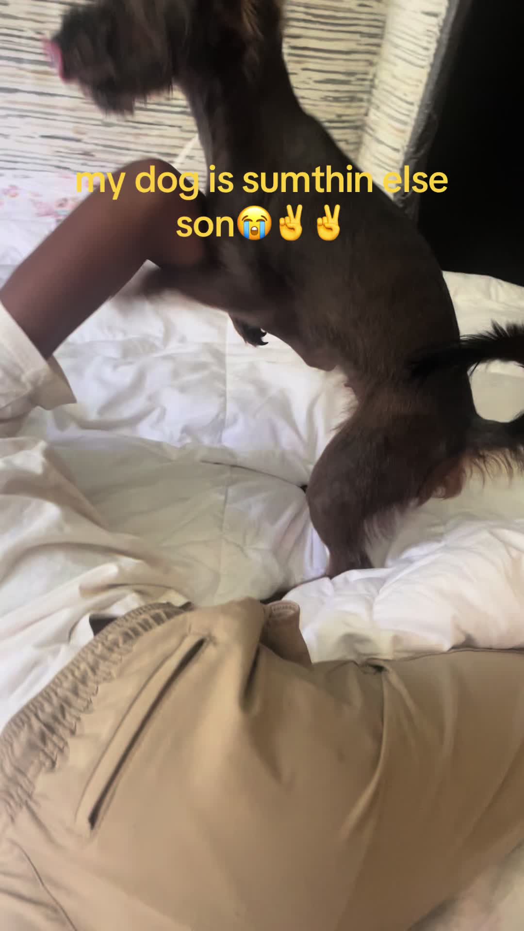 @ 