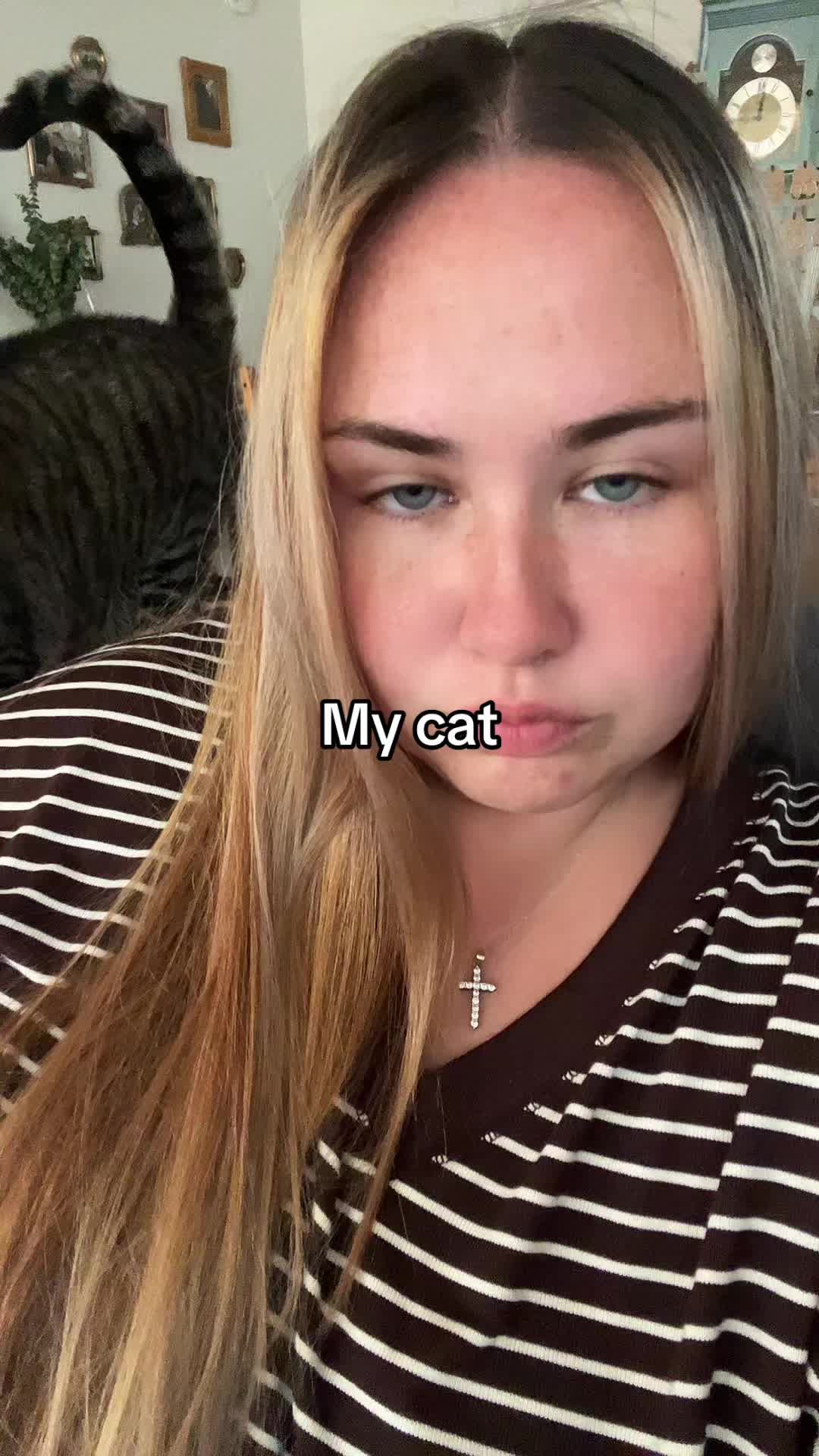 @Shelby Scribner