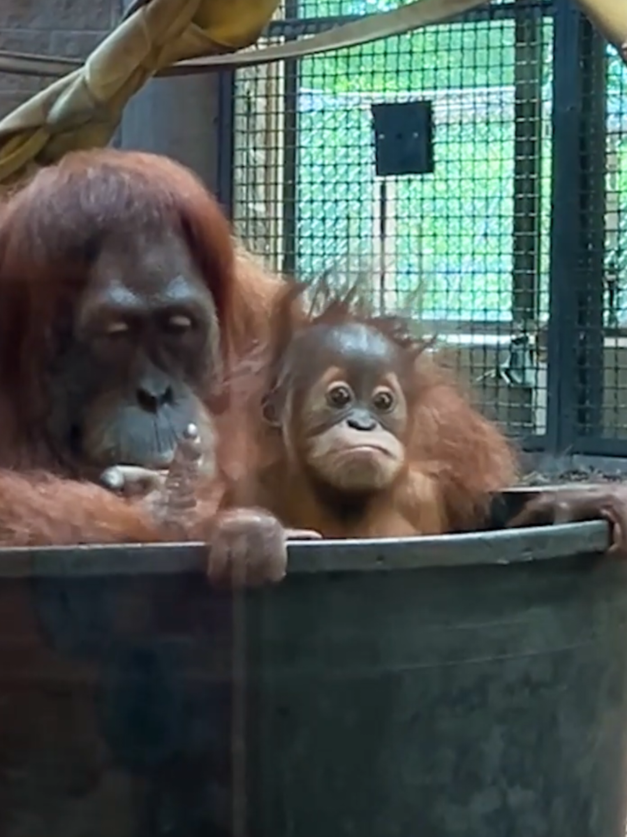 @Sedgwick County Zoo