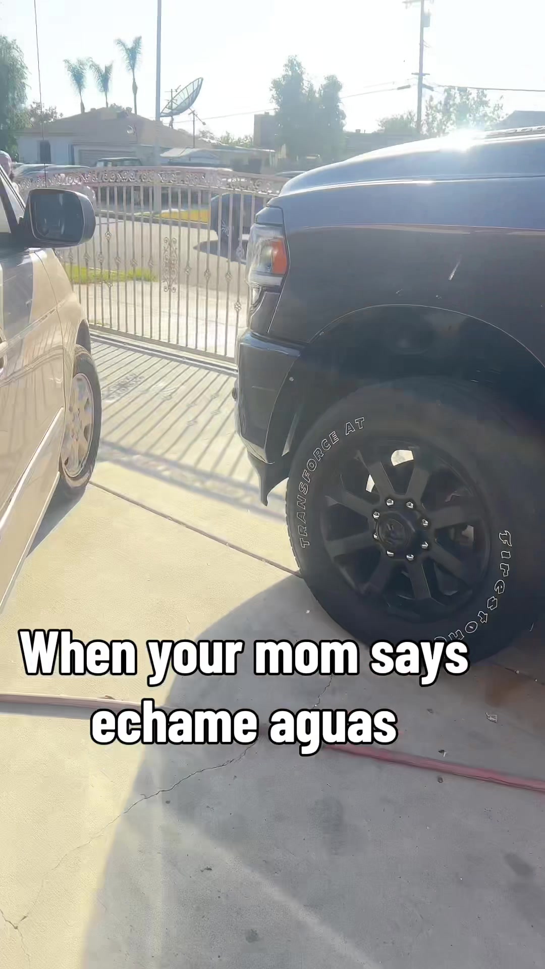 @Miss Mineoxian