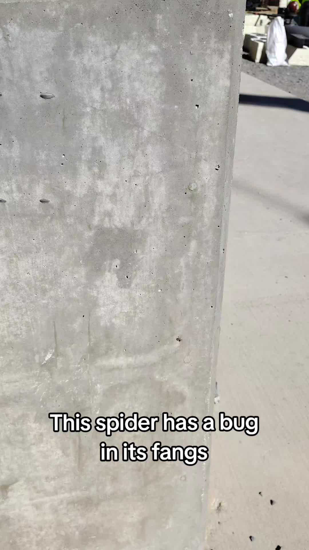 @One Chill Dude
