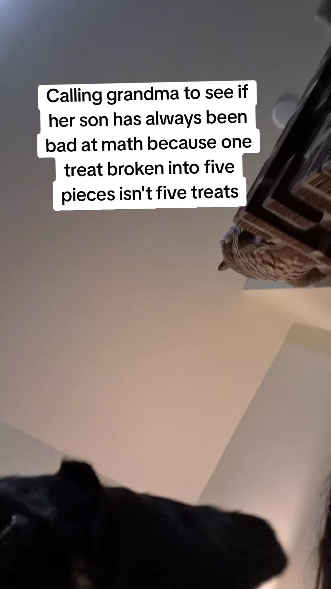 @Morgan