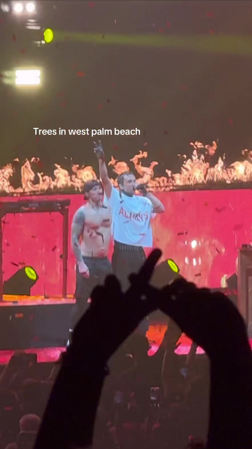 @Lily/Nara |-/