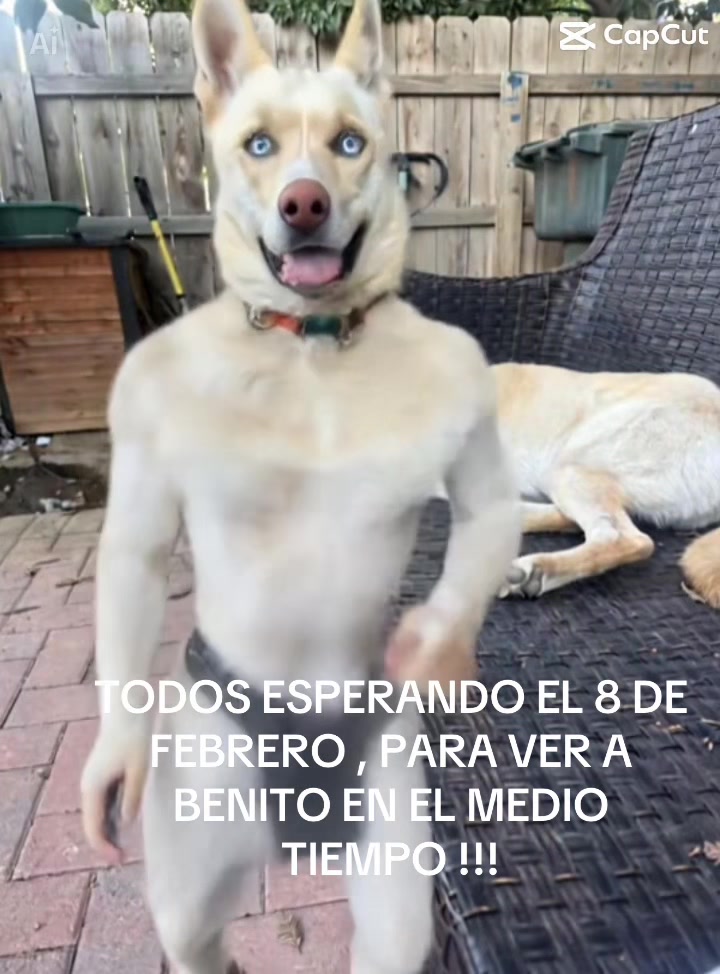 @maria s rodriguez
