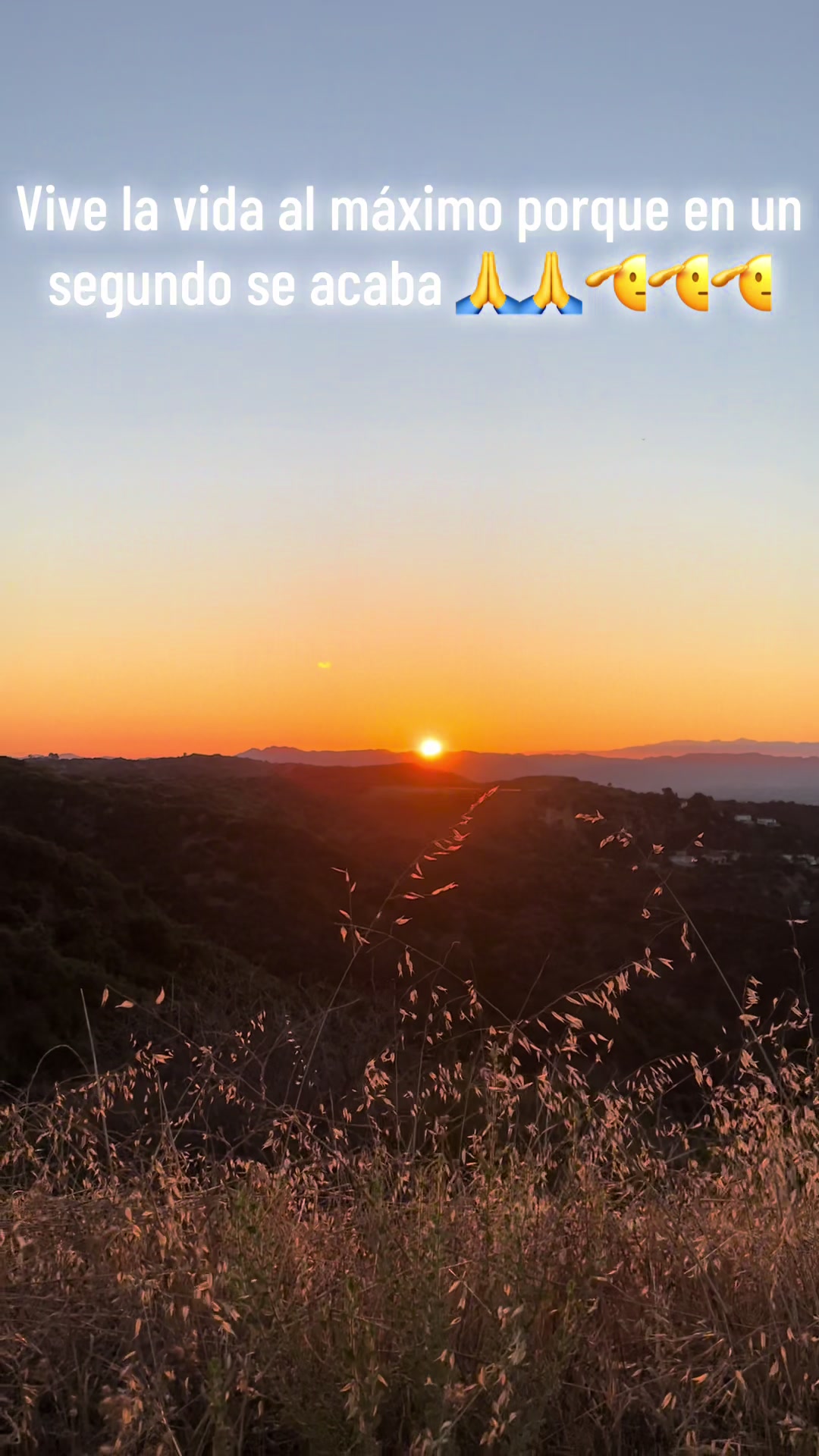 @Life_L.A.