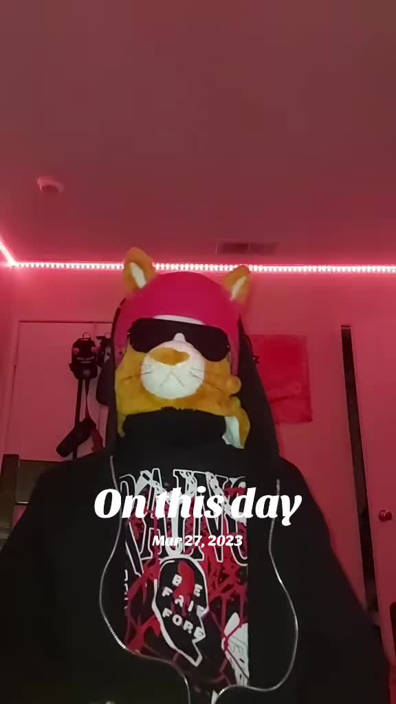 @Orange Cat Matt