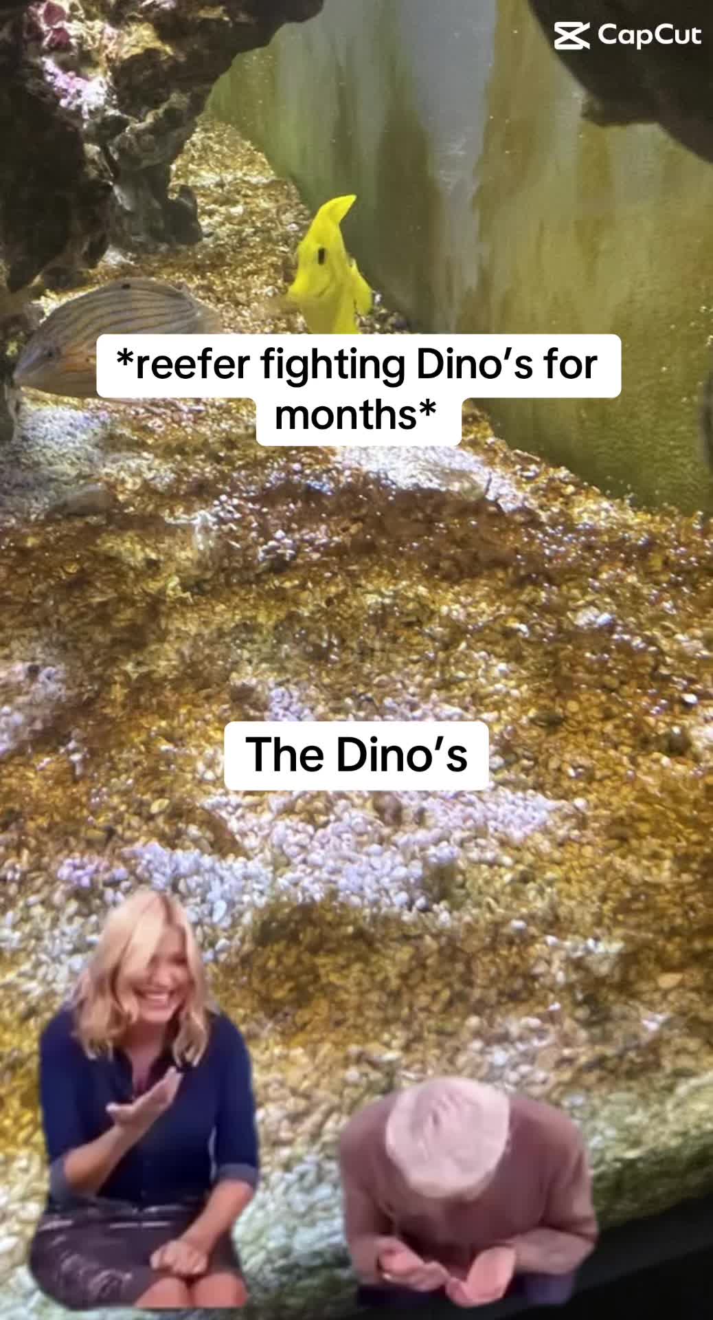 @ReefTok