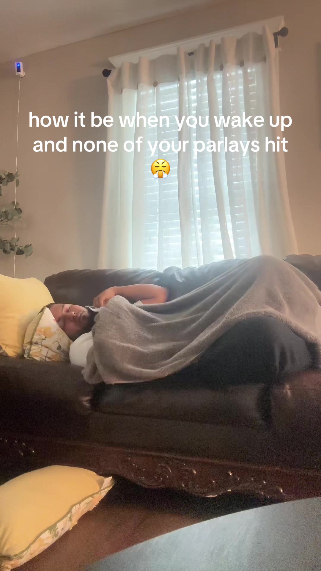 @Danypicks
