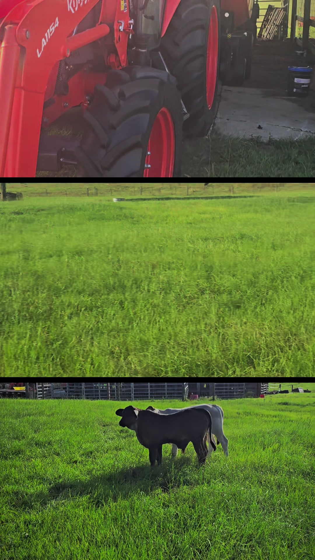 @M.I. CATTLE CO.
