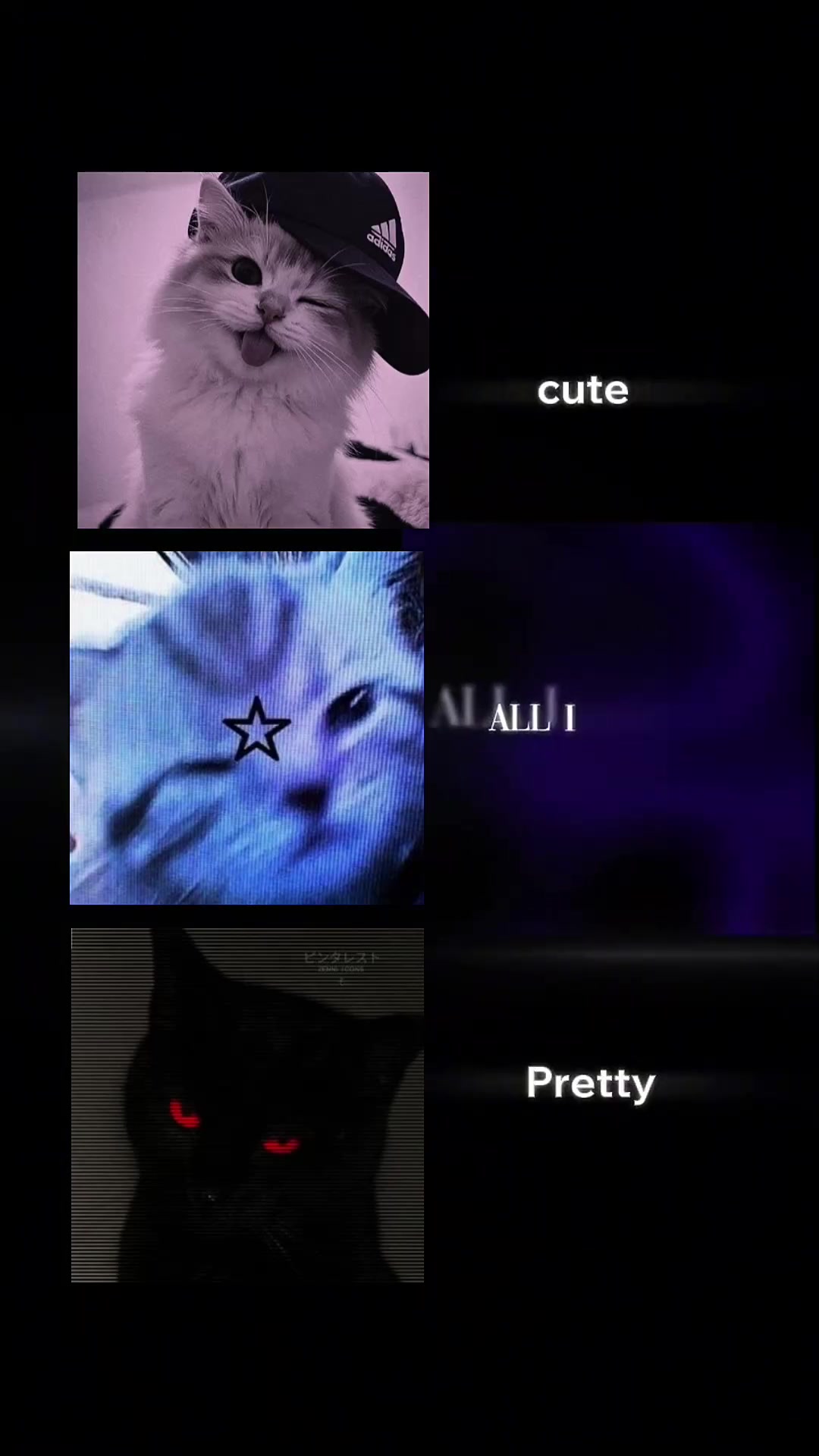 @cat army