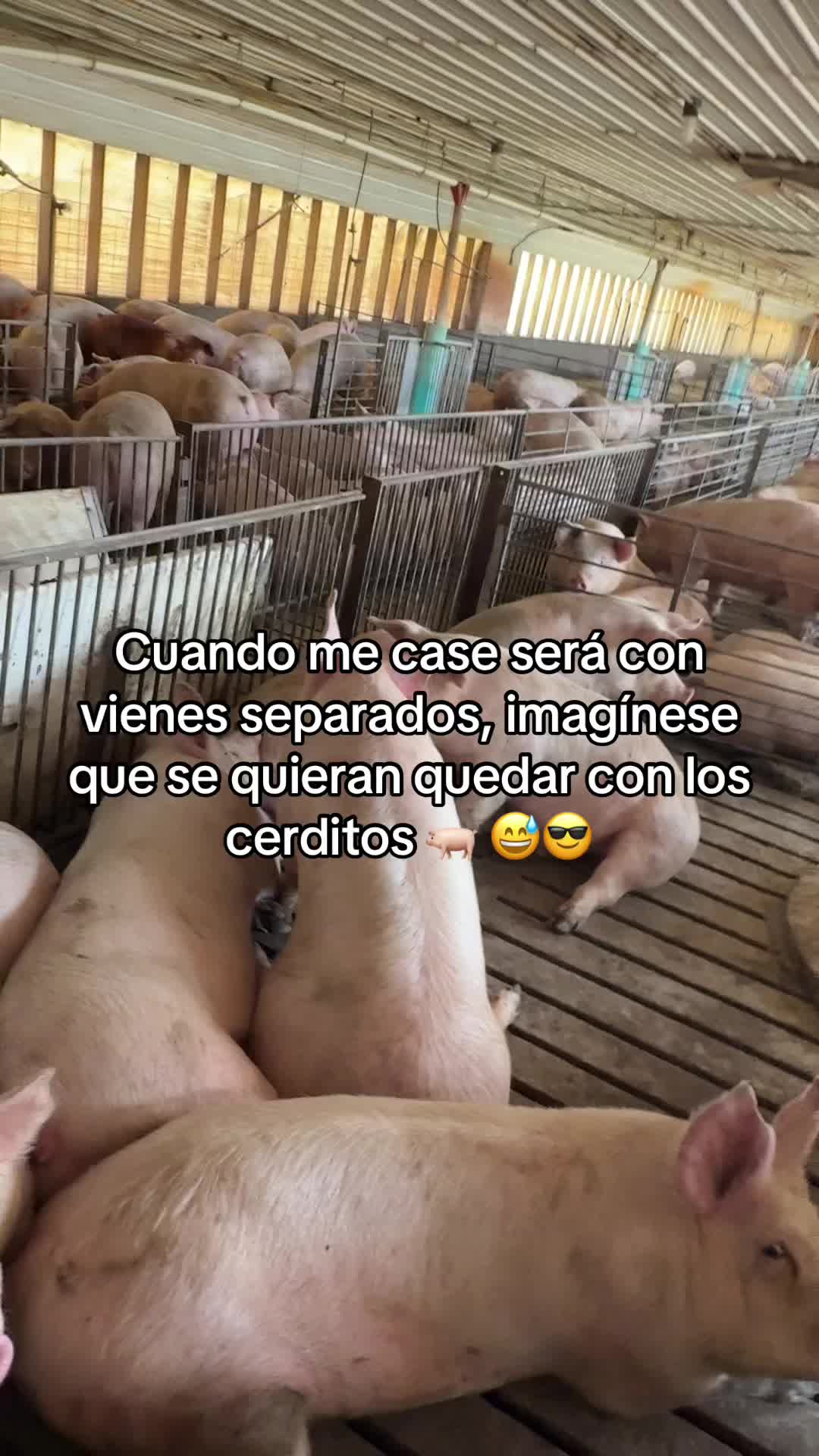 @Anderlin Perez