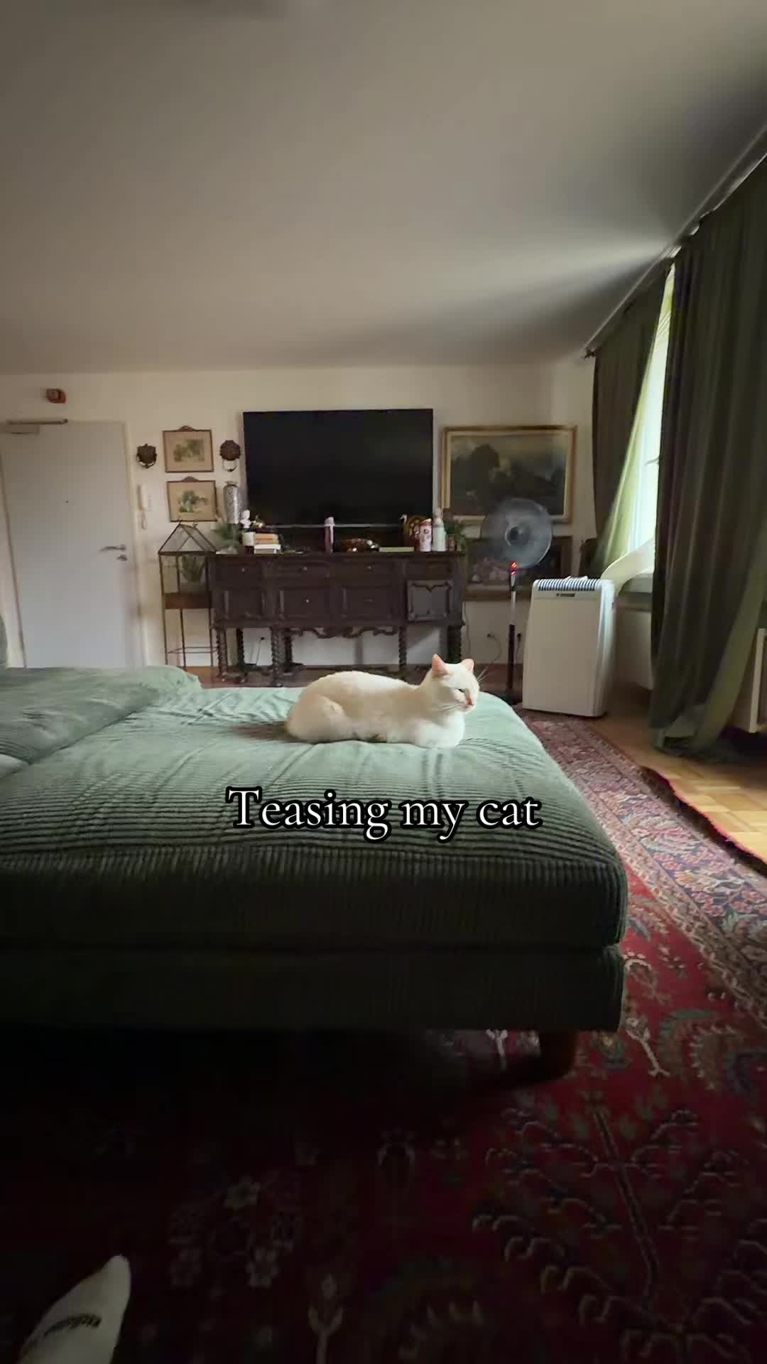 @Tara