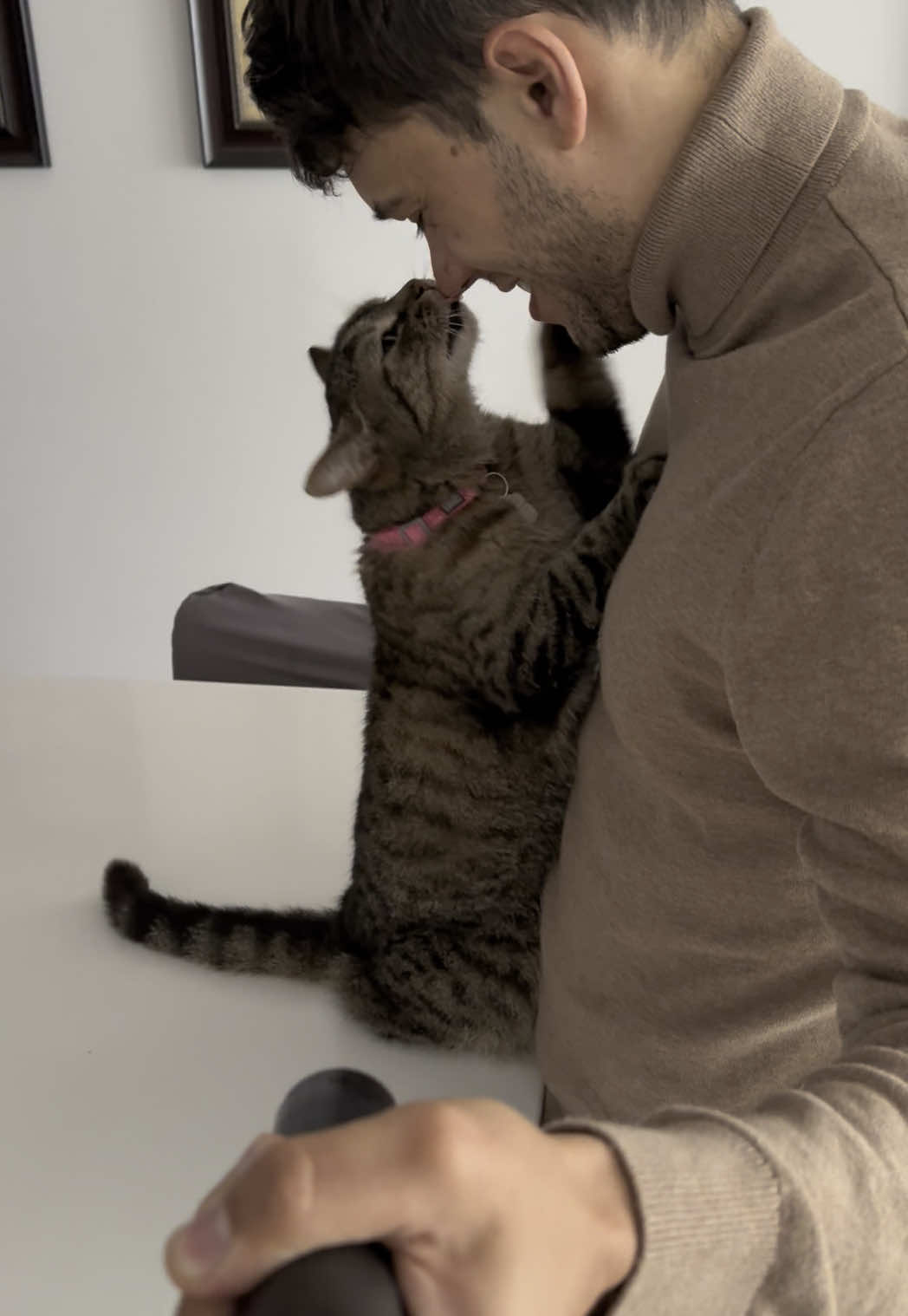 @Bellarda the cat