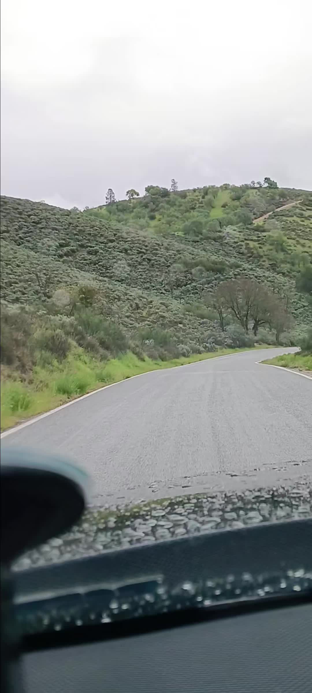 @EL DE GUANAJUATO...