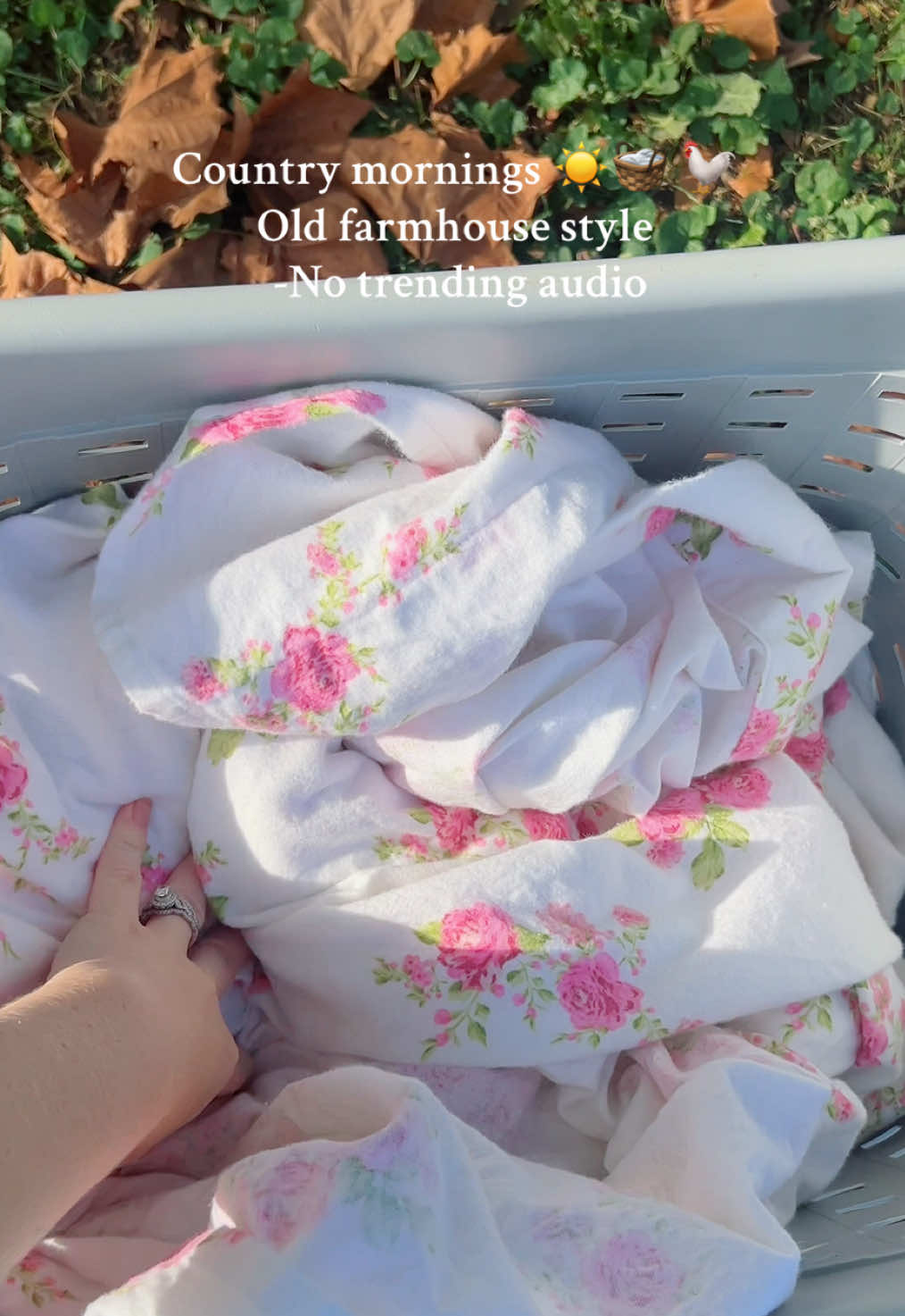 @Mackenzie ✿ frilly farm life