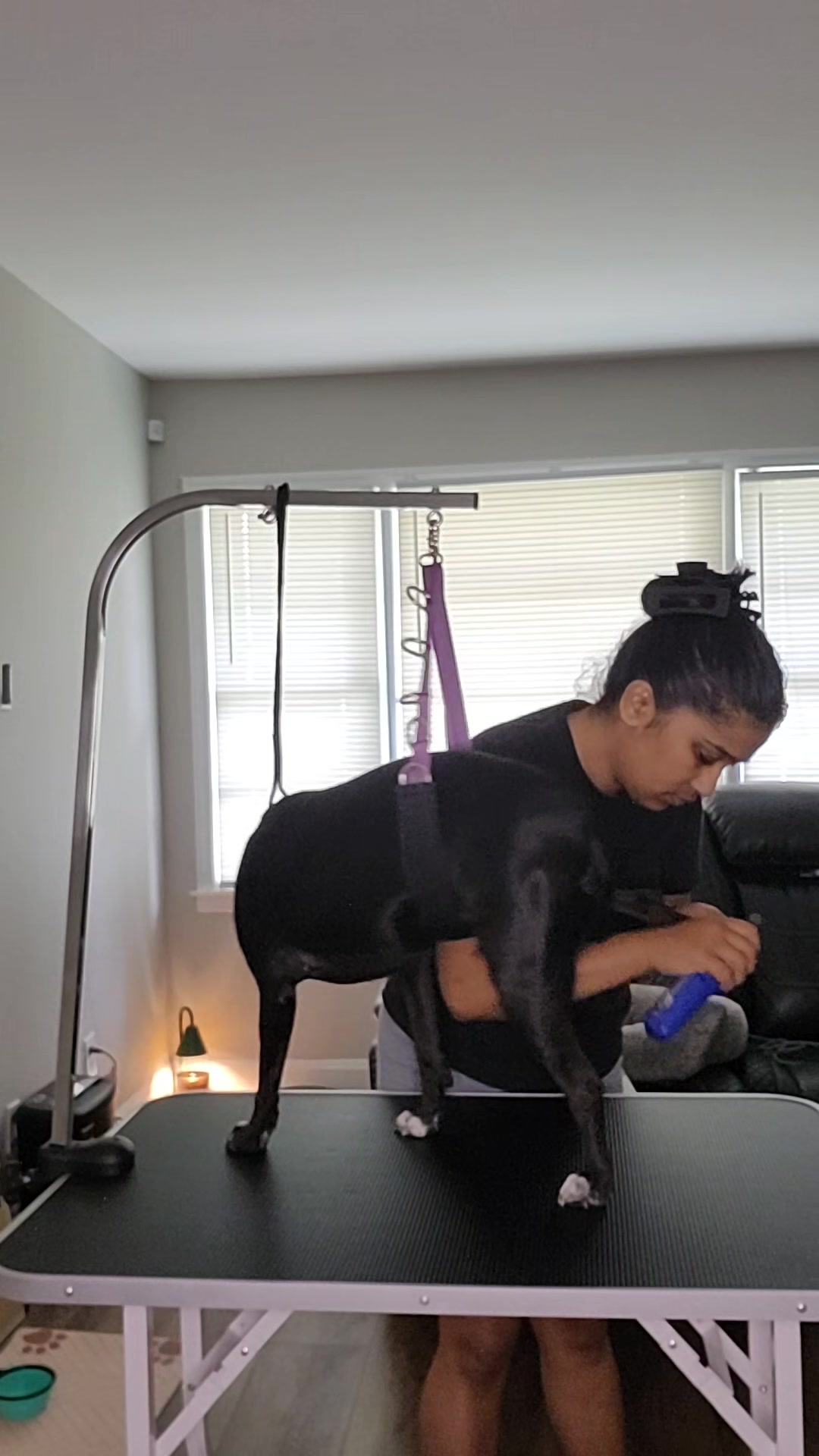 @The Canine Coach