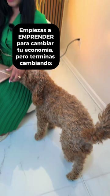 @Kathyamkt | Estratega Digital