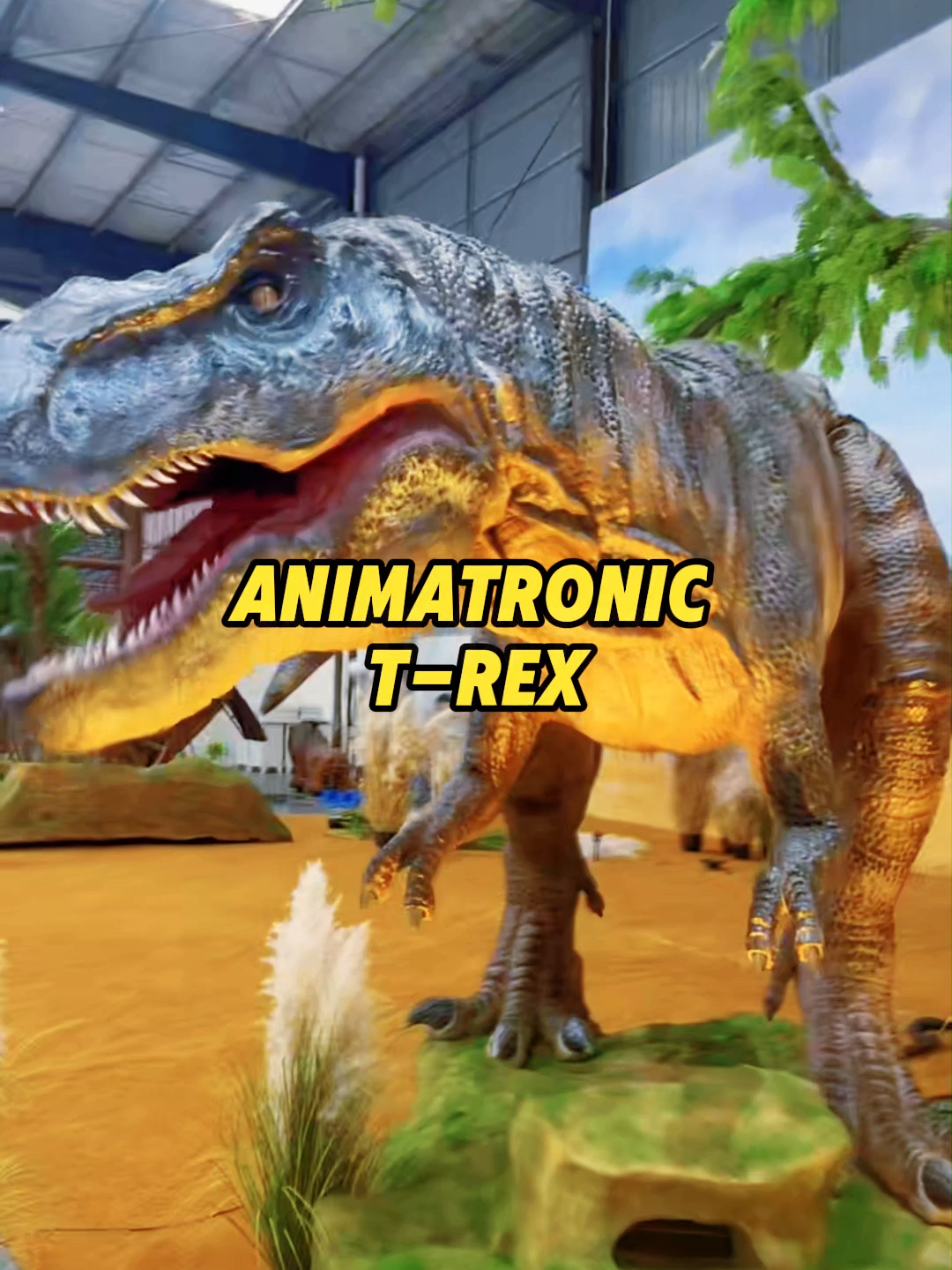 @ZGDinosaur