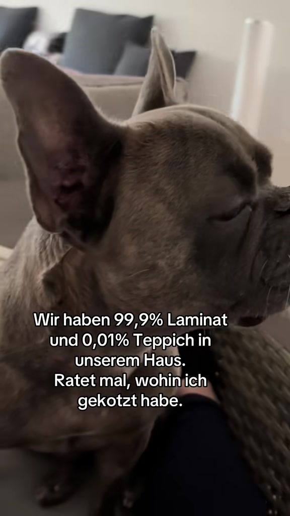 @Der Bommelboss &hearts;️