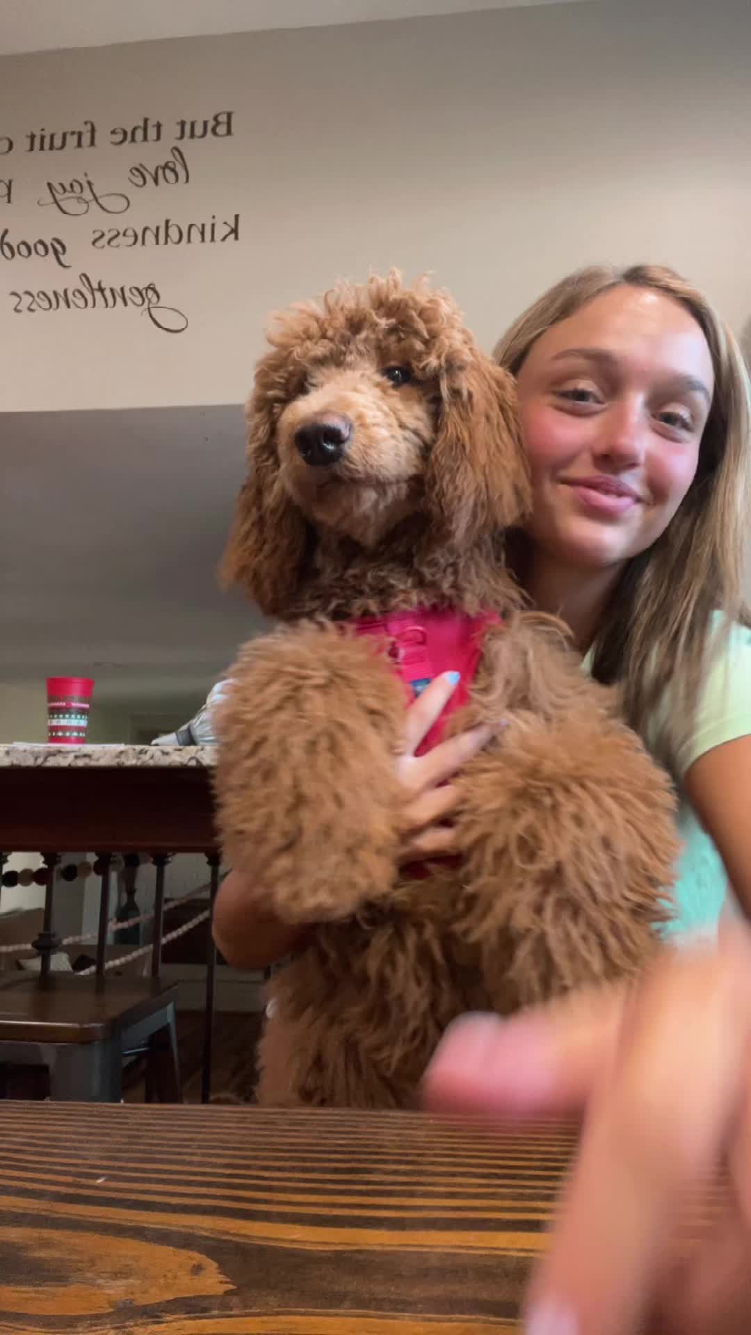 @lexipeckk_