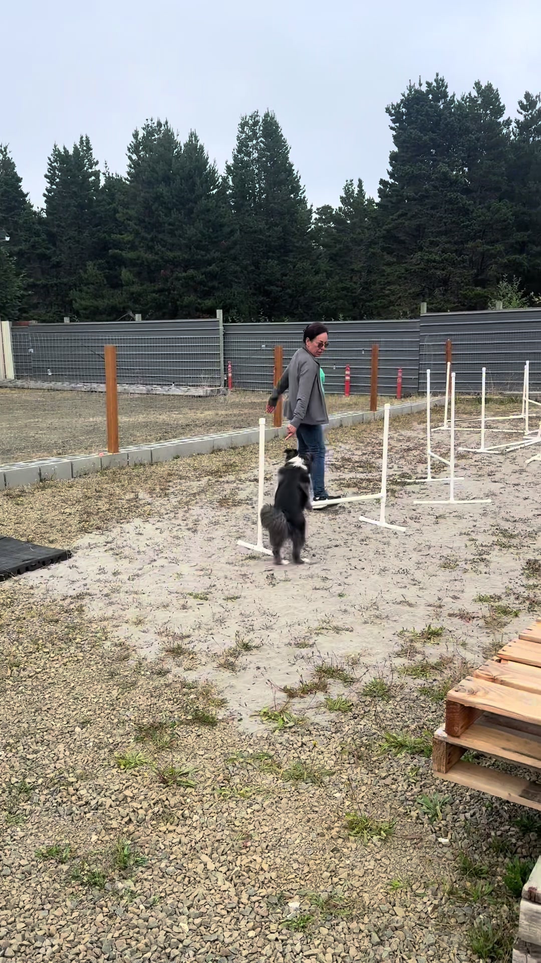 @Heather Discovery Canine Adv.