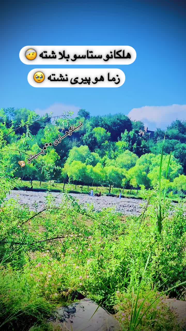 @ننګرهاری ☆♡☆ پیشو ☆♡☆
