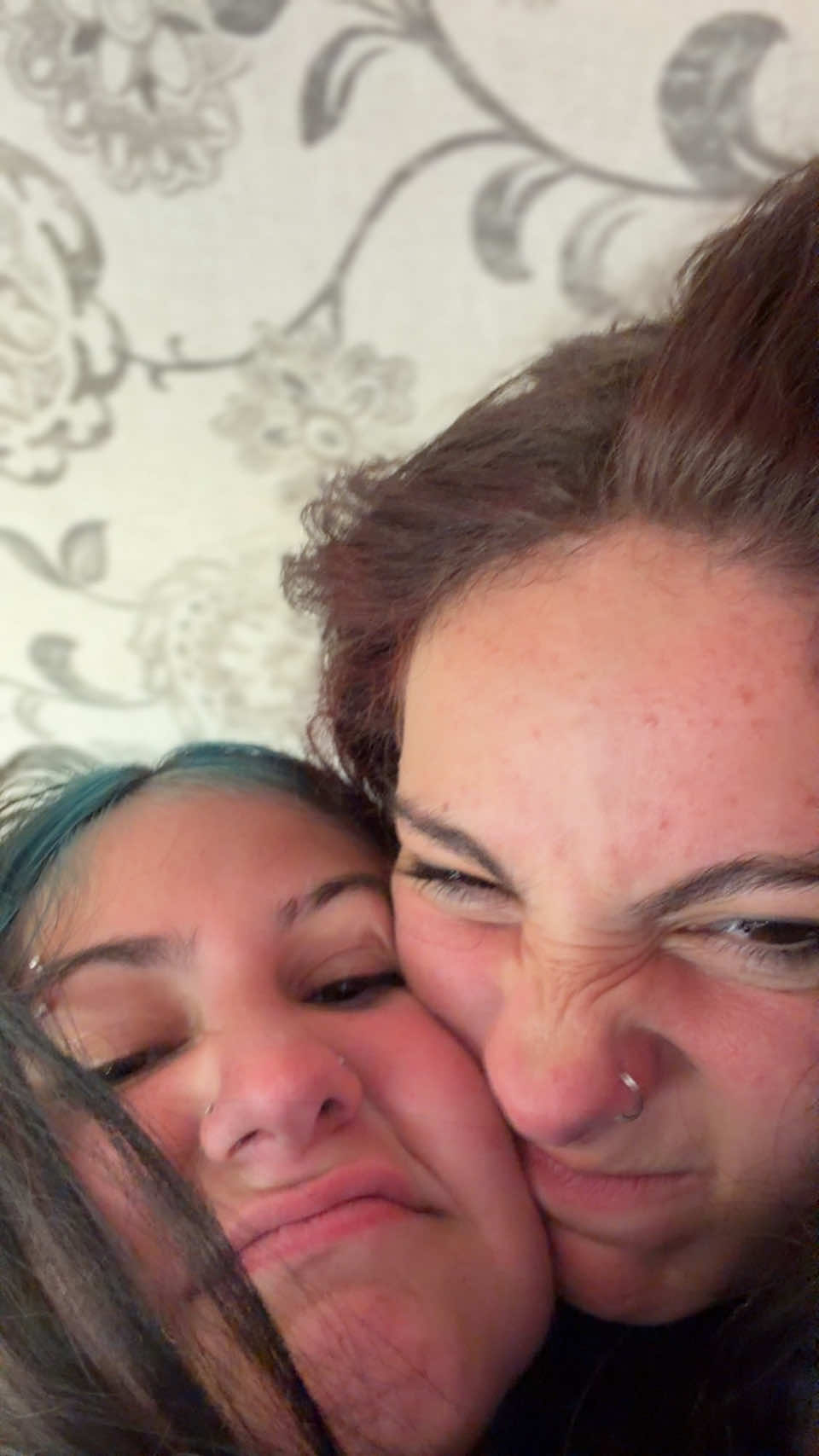 @🐰🐰