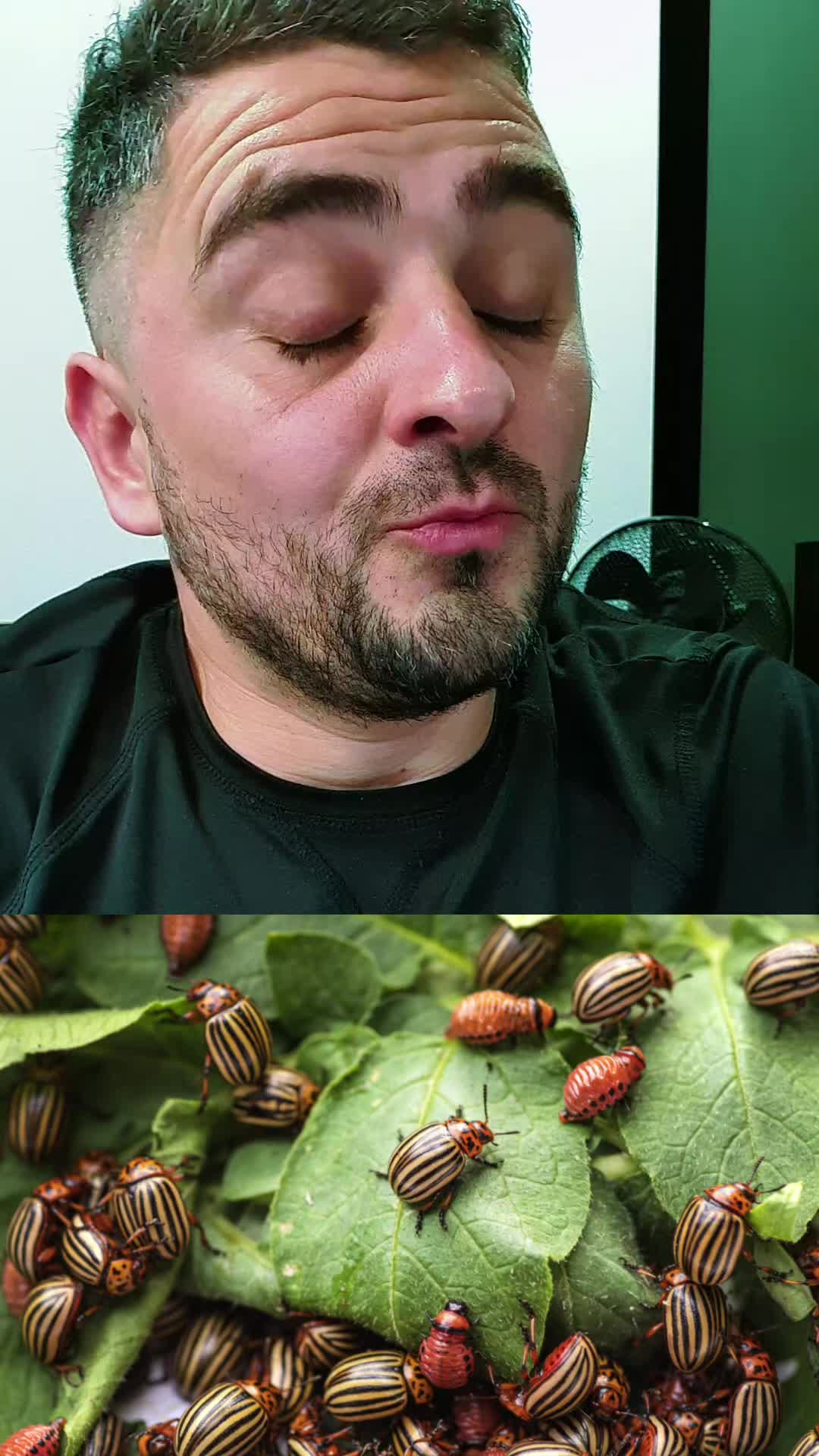 @АЛЬФА✅
