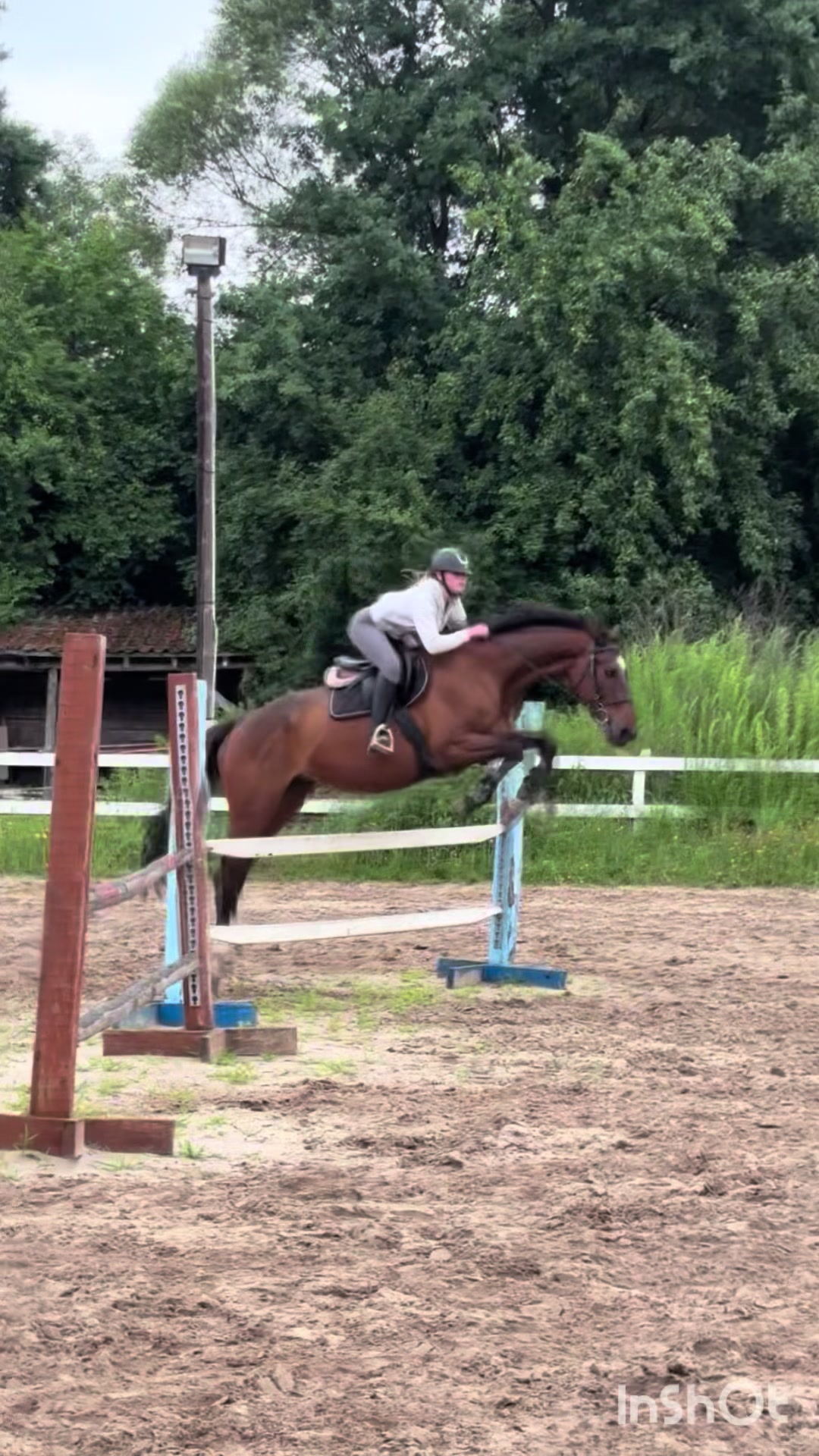 @💋🐴