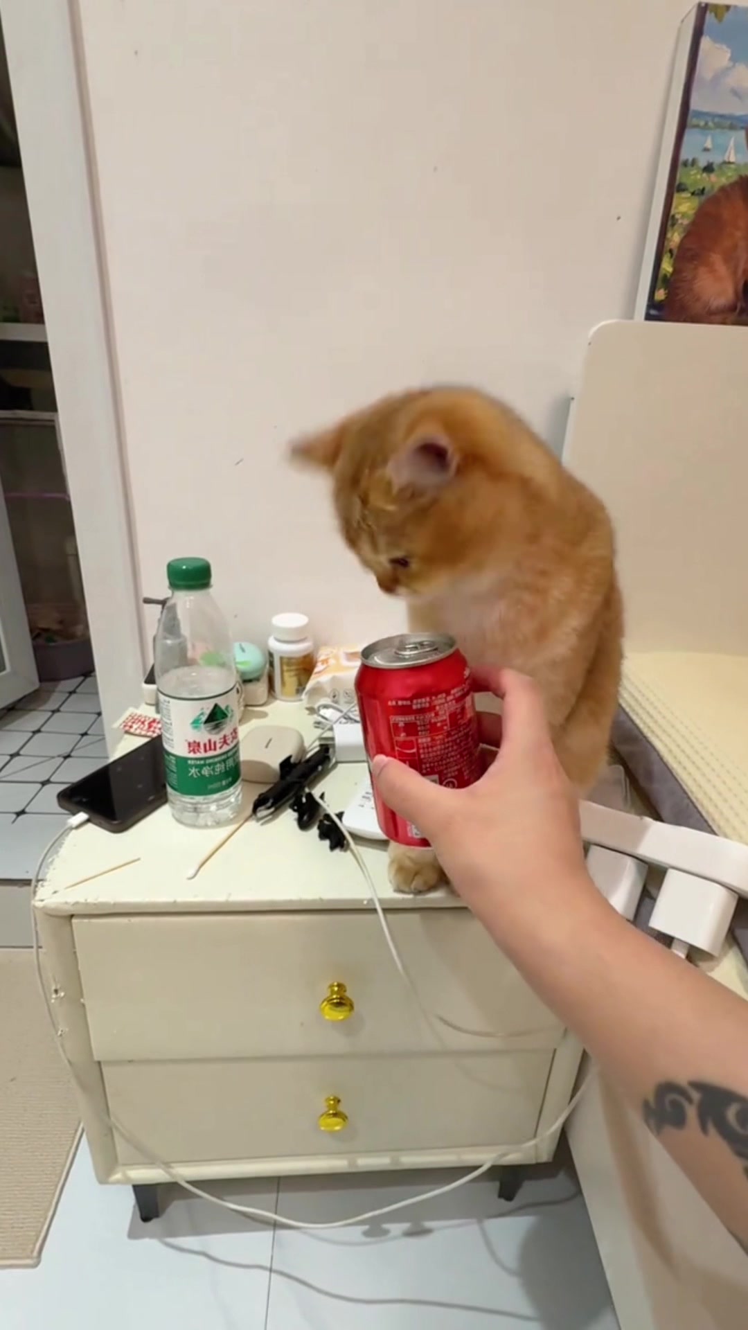@cutekitten37