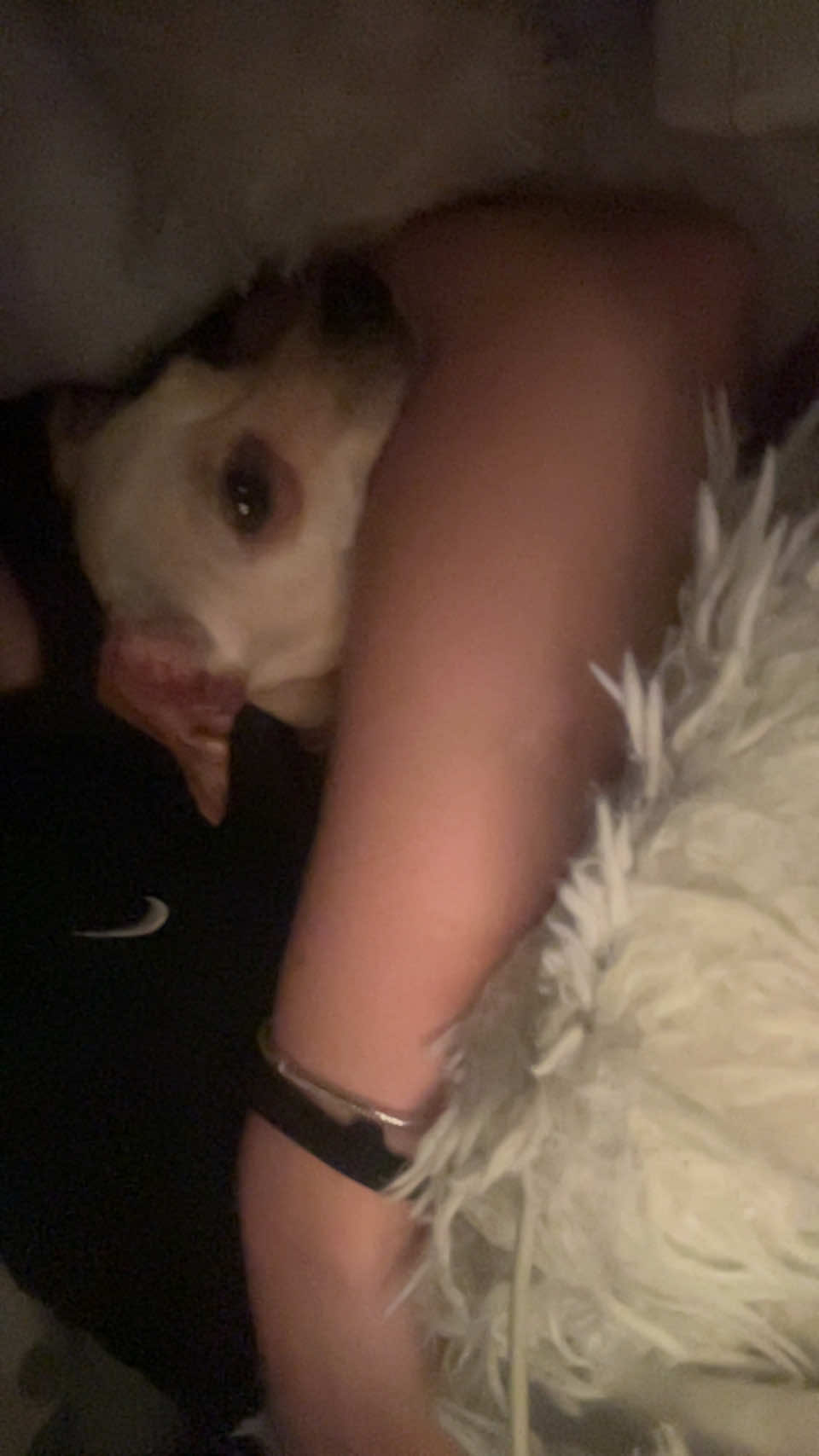 @💋💋💋