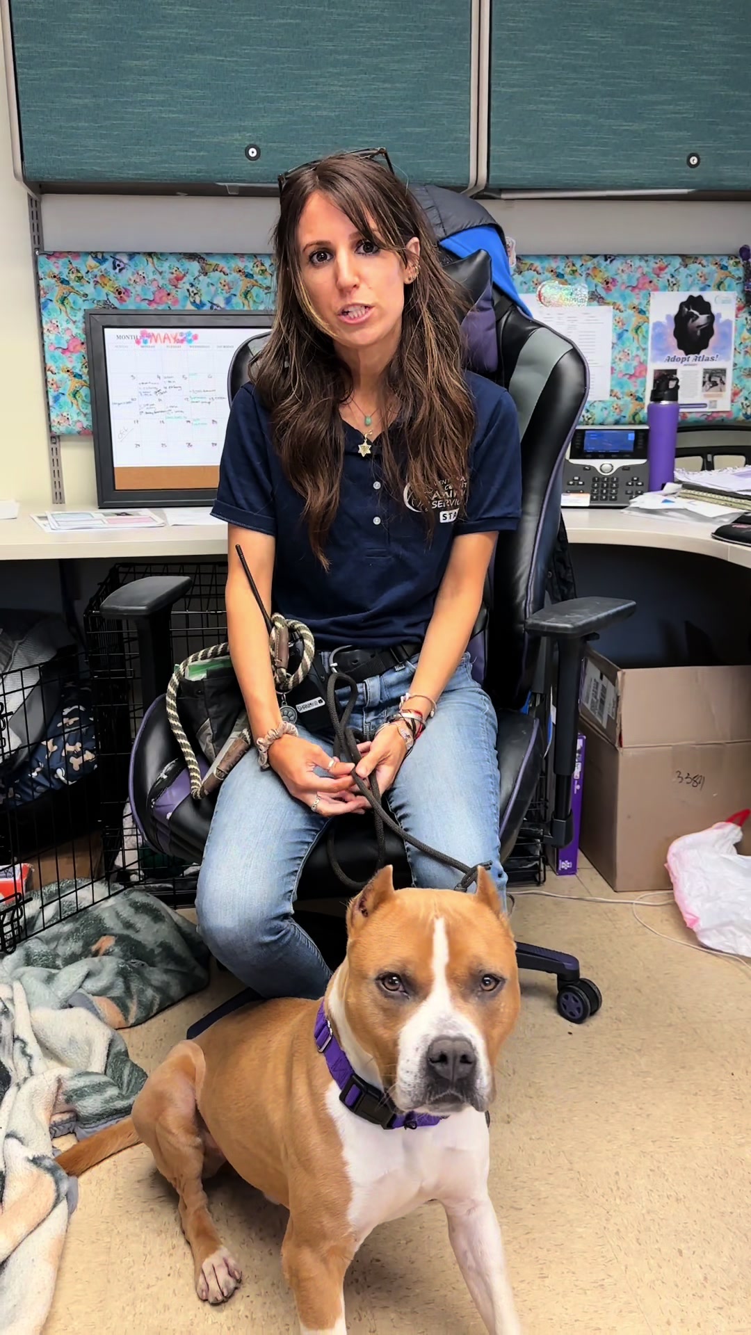 @Ventura County Animal Services
