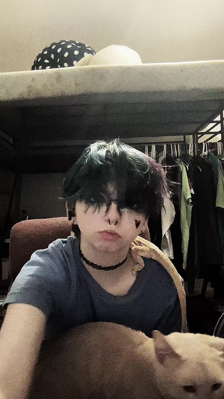 @Xeek0_👾
