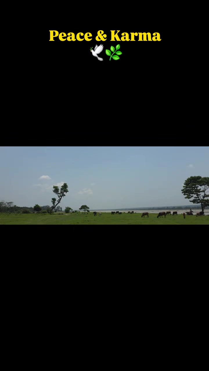 @nanushrestha763