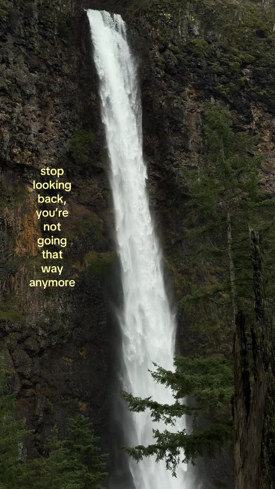 @steph