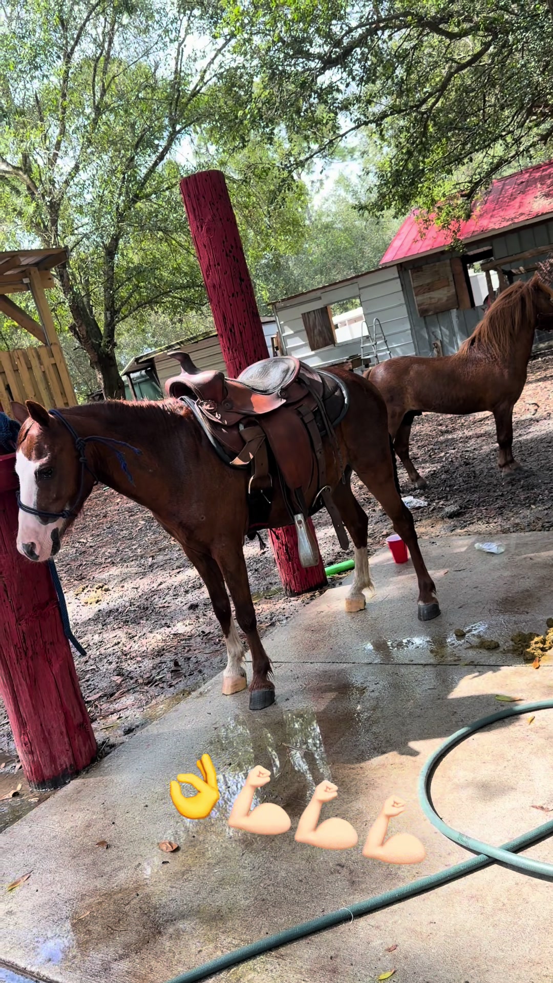 @Danny