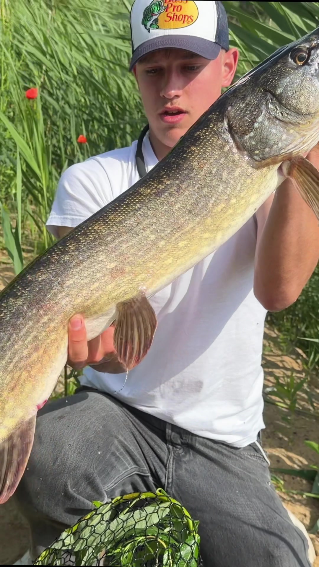 @Castandcatch