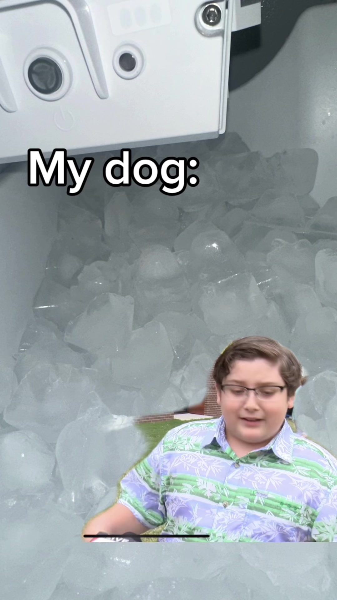 @tylerthek9trainer