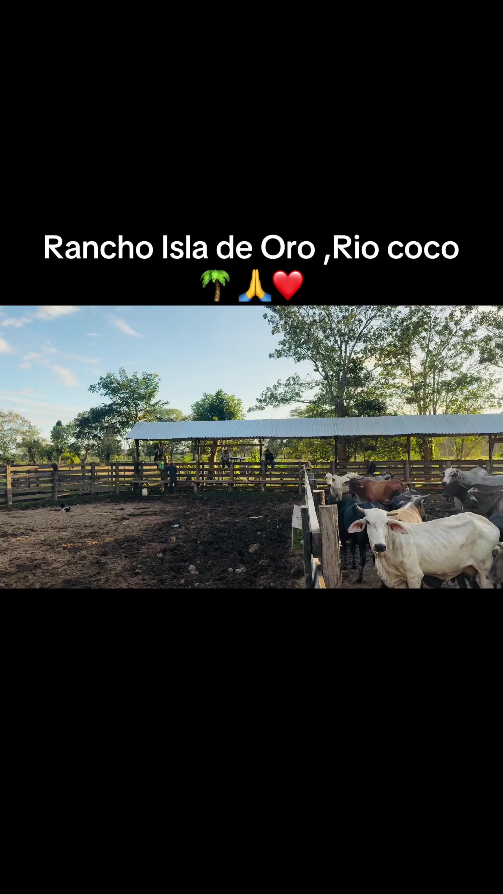 @Caballo loco 77